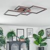 Brina Plafoniera LED Marrone, 1-Luce