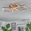 Brina Plafoniera LED Marrone, 1-Luce