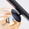 Chehalis Plafoniera, Lampada a sfera Ambrato, Chiaro, Grigio fumo, 5-Luci