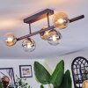 Chehalis Plafoniera, Lampada a sfera Ambrato, Chiaro, Grigio fumo, 5-Luci