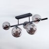 Chehalis Plafoniera, Lampada a sfera Grigio fumo, 5-Luci