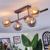Chehalis Plafoniera, Lampada a sfera Ambrato, Grigio fumo, 5-Luci