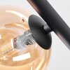 Chehalis Plafoniera, Lampada a sfera Ambrato, Grigio fumo, 5-Luci