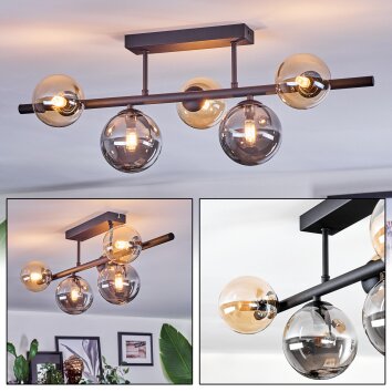Chehalis Plafoniera, Lampada a sfera Ambrato, Grigio fumo, 5-Luci