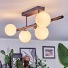 Chehalis Plafoniera, Lampada a sfera Bianco, 5-Luci