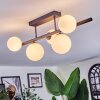 Chehalis Plafoniera, Lampada a sfera Bianco, 5-Luci