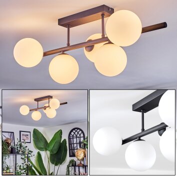Chehalis Plafoniera, Lampada a sfera Bianco, 5-Luci