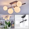 Chehalis Plafoniera, Lampada a sfera Bianco, 5-Luci