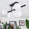 Chehalis Plafoniera, Lampada a sfera Bianco, 5-Luci