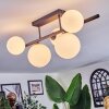 Chehalis Plafoniera, Lampada a sfera Bianco, 5-Luci
