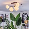 Chehalis Plafoniera, Lampada a sfera Bianco, 5-Luci
