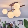 Chehalis Plafoniera, Lampada a sfera Bianco, 5-Luci