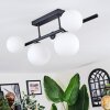 Chehalis Plafoniera, Lampada a sfera Bianco, 5-Luci