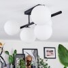 Chehalis Plafoniera, Lampada a sfera Bianco, 5-Luci