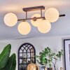 Chehalis Plafoniera, Lampada a sfera Bianco, 5-Luci