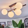 Chehalis Plafoniera, Lampada a sfera Bianco, 5-Luci