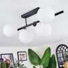 Chehalis Plafoniera, Lampada a sfera Bianco, 5-Luci