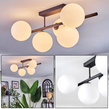Chehalis Plafoniera, Lampada a sfera Bianco, 5-Luci