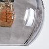 Koyoto Lampadario a sospensione, Lampada a sfera, Lampada a sospensione Grigio fumo, 6-Luci