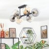 Koyoto Plafoniera, Lampada a sfera Ambrato, Chiaro, Grigio fumo, 8-Luci