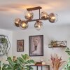 Koyoto Plafoniera, Lampada a sfera Chiaro, Grigio fumo, 6-Luci