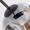 Ripoll Lampadario a sospensione, Lampada a sfera, Lampada a sospensione Ambrato, Chiaro, Grigio fumo, 6-Luci