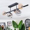 Chehalis Plafoniera, Lampada a sfera Nero, 5-Luci