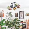 Koyoto Plafoniera, Lampada a sfera Blu, Oro, Verde, Chiaro, Ramato, 6-Luci