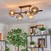 Koyoto Plafoniera, Lampada a sfera Ambrato, Chiaro, Grigio fumo, 5-Luci