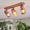 Nelar Plafoniera, Faretto da soffitto Bronzo, Cromo, 3-Luci