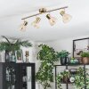 Saire Plafoniera, Faretto da soffitto Cromo, Ottone, 4-Luci