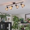 Saire Plafoniera, Faretto da soffitto Cromo, Nero, 4-Luci