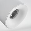 Narel Plafoniera, Faretto da soffitto LED Bianco, 2-Luci