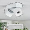 Narel Plafoniera, Faretto da soffitto LED Bianco, 2-Luci