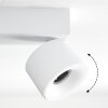 Narel Plafoniera, Faretto da soffitto LED Bianco, 2-Luci