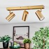 Javel Plafoniera, Faretto da soffitto Oro, 3-Luci