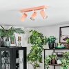Javel Plafoniera, Faretto da soffitto Fucsia, Bianco, 3-Luci