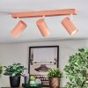 Javel Plafoniera, Faretto da soffitto Fucsia, Bianco, 3-Luci