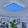 Orain Plafoniera, Panel LED Bianco, 1-Luce, Cambia colore