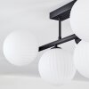 Chehalis Plafoniera, Lampada a sfera Nero, 5-Luci