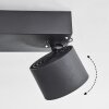 Narel Plafoniera, Faretto da soffitto LED Nero, 2-Luci