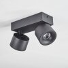 Narel Plafoniera, Faretto da soffitto LED Nero, 2-Luci
