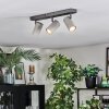 Javel Plafoniera, Faretto da soffitto Cromo, Grigio, 3-Luci