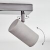 Javel Plafoniera, Faretto da soffitto Cromo, Grigio, 3-Luci