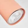 Javel Plafoniera, Faretto da soffitto Fucsia, Bianco, 4-Luci