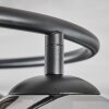 Koyoto Plafoniera, Lampada a sfera Cromo, Chiaro, Grigio fumo, 3-Luci