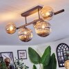 Chehalis Plafoniera, Lampada a sfera Nero, 5-Luci