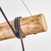 Ripoll Lampadario a sospensione, Lampada a sfera, Lampada a sospensione Écru, Nero, 5-Luci