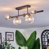 Chehalis Plafoniera, Lampada a sfera Chiaro, 5-Luci