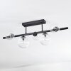 Chehalis Plafoniera, Lampada a sfera Chiaro, 5-Luci